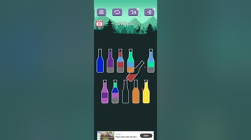 Water sort puzzle level 307