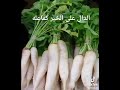 فوائد الفجل الابيض لحصى الكلى