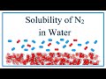 Gas Solubility and Molecular Behavior