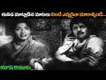      n tr gummadikantharaodevika  shalimar film express