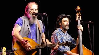 STEVE EARLE: Harlem River Blues