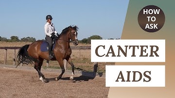 Canter Transitions - How To Ask For Canter