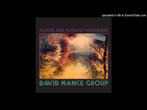 David Nance Group — David Nance Group - When I Saw You Last Night