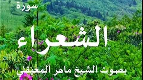 سورة الشعراء بصوت الشيخ / ماهر المعيقلي 26
