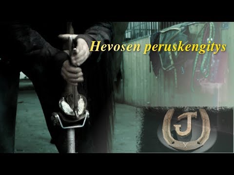 Video: Hevosen Terveys