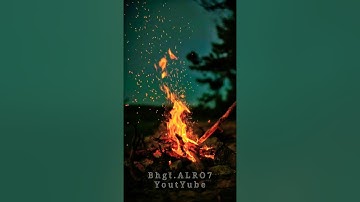 فما لنا من شافعين ولا صديقً حميم(نبأ ابراهيم)_ سورة الشعراء _ أية قصيرة _ القارئ ؛ أسلام صبحي