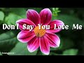 The Corrs - Don&#39;t Say You Love Me Lyrics