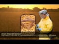 Capture de la vidéo Health Risks Of Gmo Soy