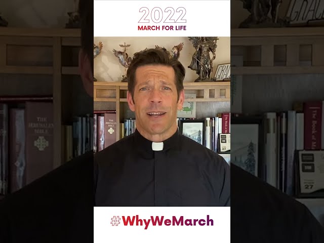 Why Fr. Mike Schmitz is marching for life | 2022