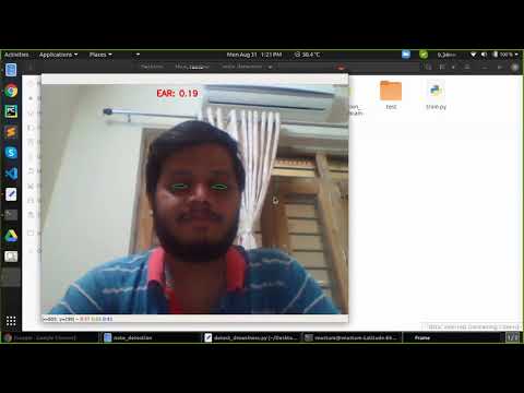 Car Driver Drowsiness Detection using Computer Vision