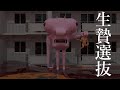 【続】超次元の輪廻に昇華するための国家儀式 某日 録画