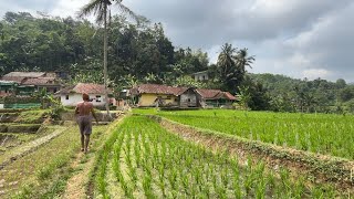 Apa yang berubah? Kenapa terasa beda…