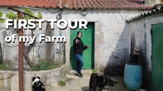 First Farm Tour | My Farm in Central Portugal | #23