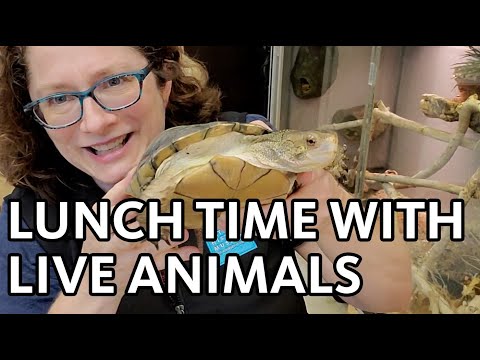 Lunch with Live Animals | At the Feet of Mammoths!