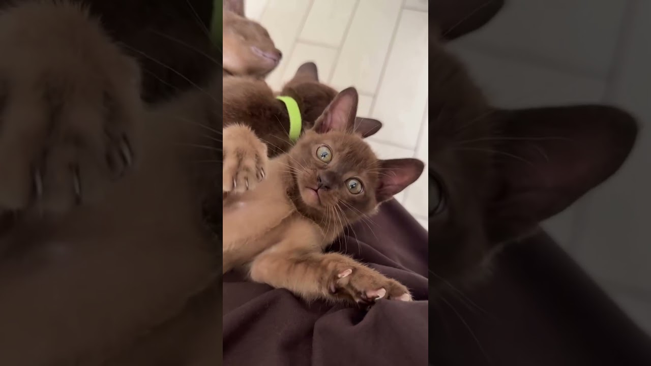 Бессоница у девочки 