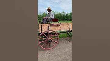 🐴The Old-Time-y Horse-drawn Carriages of Upper Canada Village