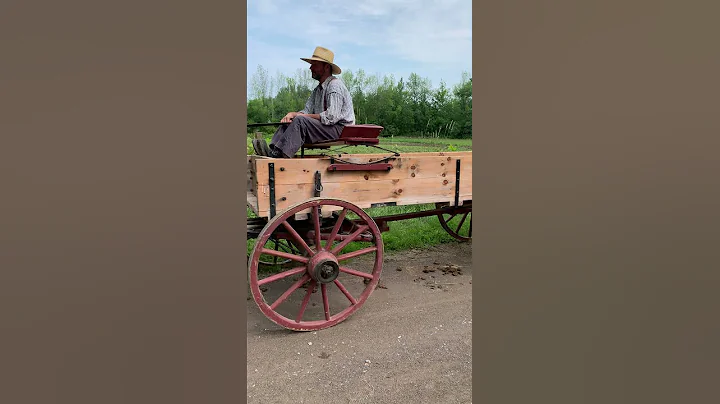 🐴The Old-Time-y Horse-drawn Carriages of Upper Canada Village