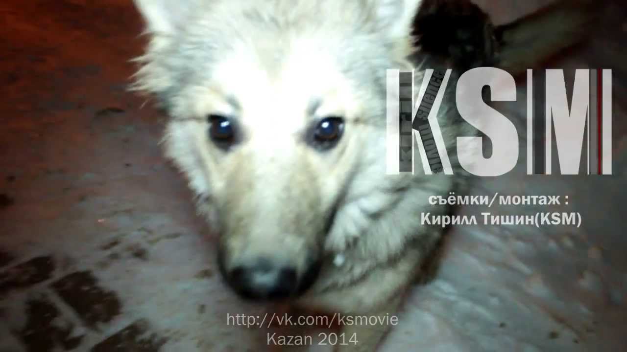 Приглашение на первый республиканский хип-хоп фестиваль