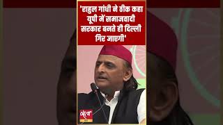 Delhi Will Fall As Soon As The Sp Government Is Formed In Up  Akhilesh Yadav On Rahul Gandhis 