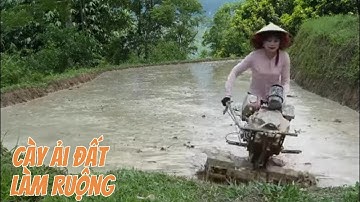 Cô Gái Miền Núi Một Mình Cày Ruộng Bậc Thang Trên Đồi | Con Người Và Thiên Nhiên #cuocsongnongthon