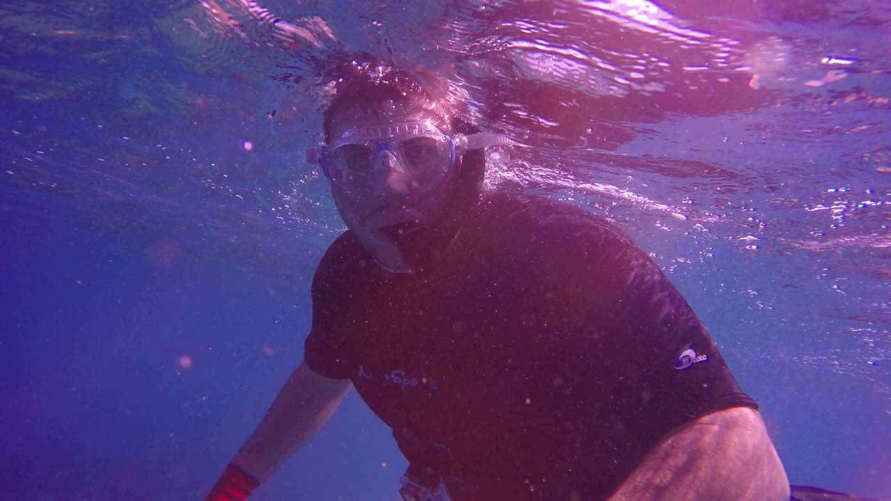 OAHU, HAWAII Spearfishing Electric Beach Pipes Oct 2015 YouTube