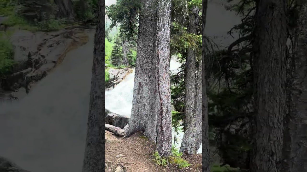 Escape to nature's beauty 