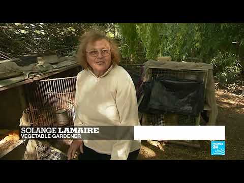 The marshes of Bourges in France's Loire Valley • FRANCE 24 English