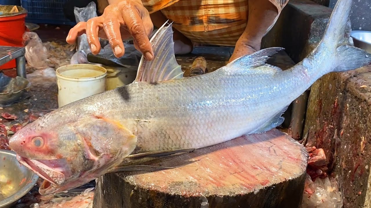 14 Kg Expensive Indian Salmon (Lakkha) Fish Cutting In Bangladesh Fish