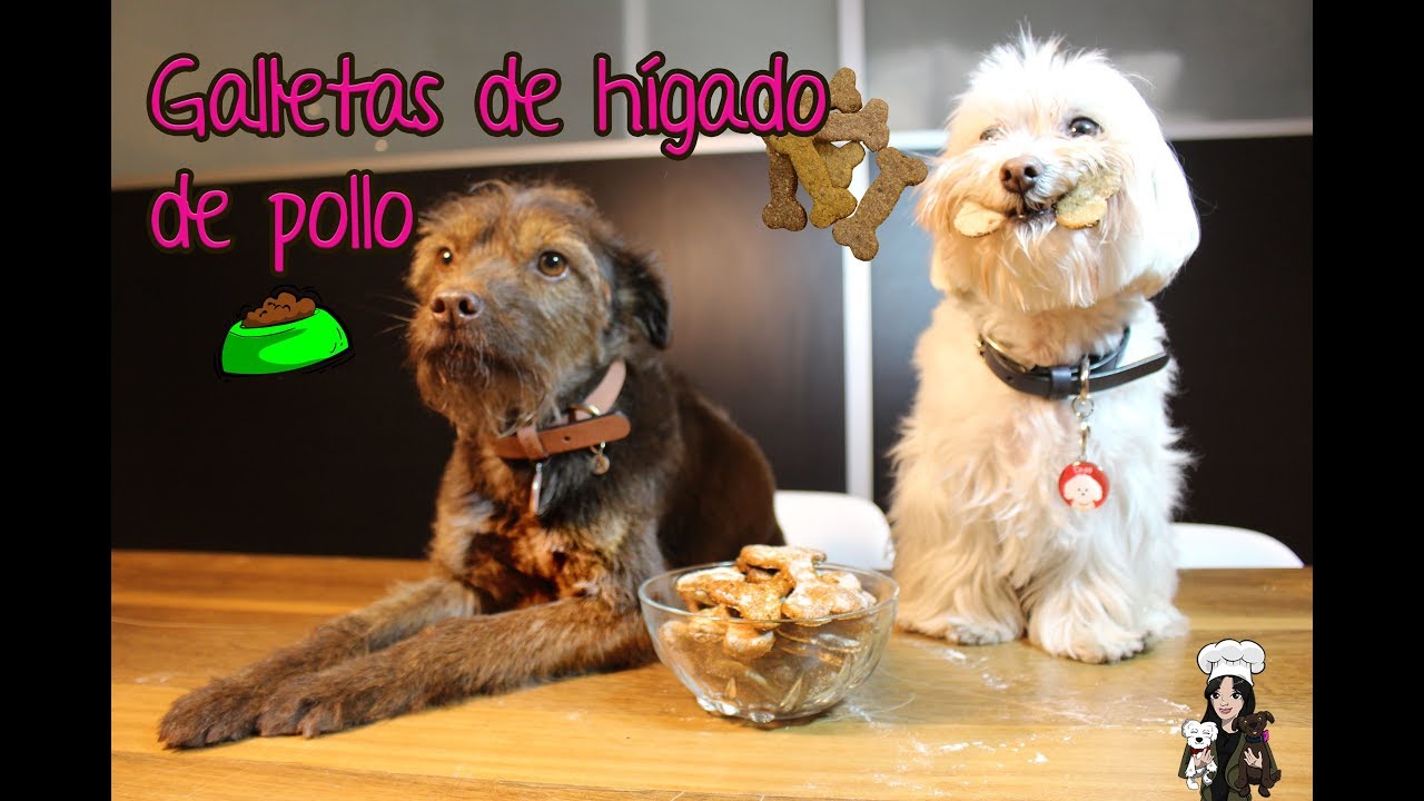 ¿Cómo hacer galletas de hígado de pollo para perros en casa? Recetas para Perros Cristy Pet