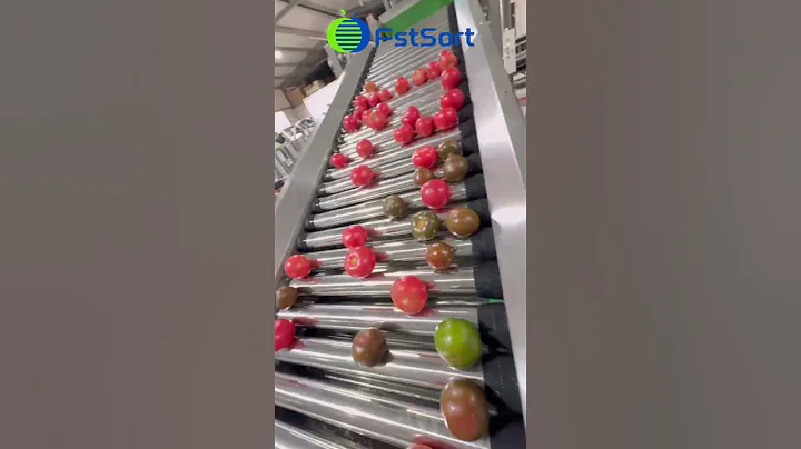 Tomato optical sorting line in Europe, vegetable grading and processing equipment