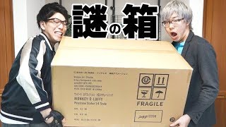 ワンピース