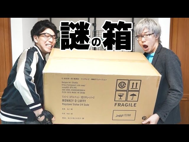 A mysterious box arrived from the 