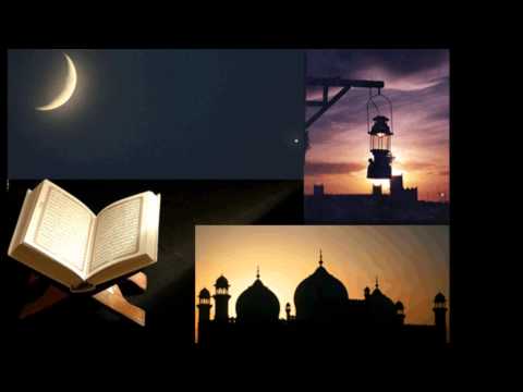 انشودة العفاسي زين الشهور