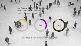 Minimalistic Pie Charts - After Effects Template Videohive