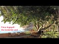 Finca Argayall / La Gomera - Landslide 2020 - and the time after (english)