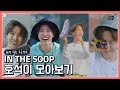 [방탄소년단/JHOPE] 인더숲 호석이(제이홉) 모아보기/랜선 힐링 프로젝트🍃 (세로영상)