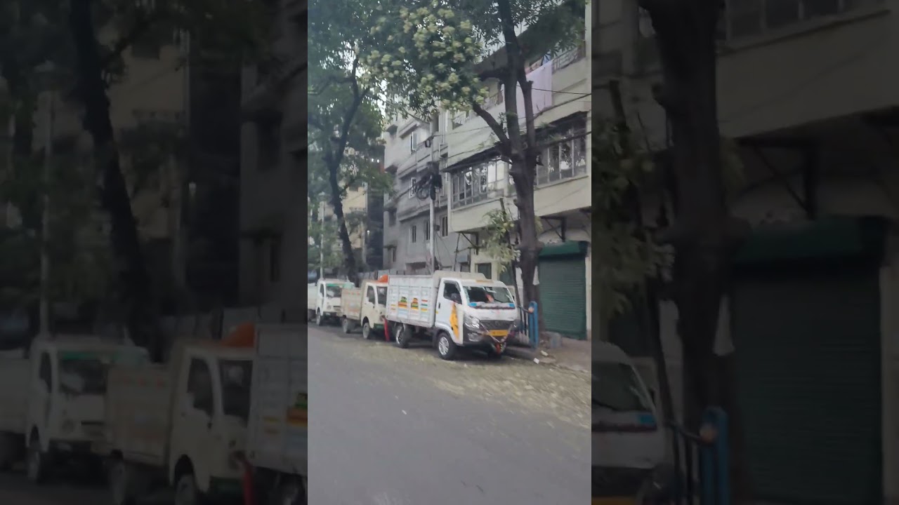 The City of Joy🎂(Part-84)🪸💖🌹💐🌿🏡🦋🐛🍭🍬🍡🥳