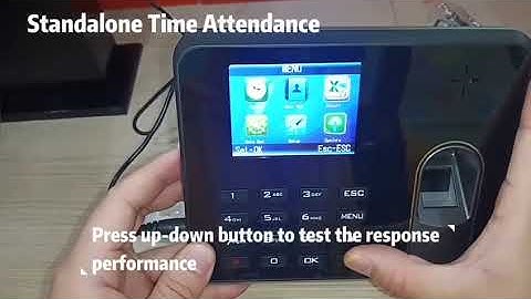 TIMMY Fingerprint Time Attendance Excel Attendance Report U Disk