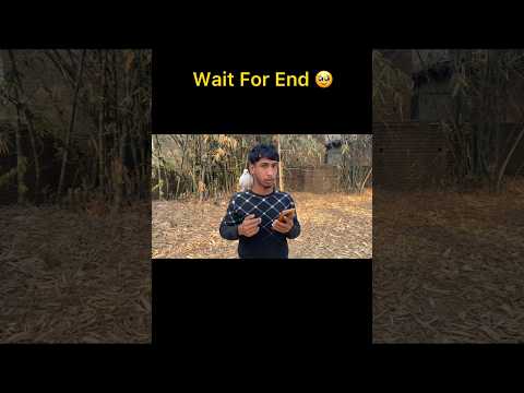 kabutar ne kya kardiya 🥹 #shorts #short #pigeontraning #pigeon #kabutar