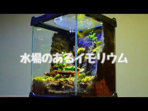 水場のあるコケリウムの作り方【part70】Paldarium with water【4K
