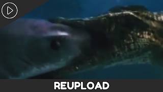 Animal Face-Off (2004): Great White Shark vs Saltwater Crocodile Alternate Audio | Reupload