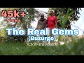 The Real Gems | Buzurgo | Godhra | Adroit Films Presents