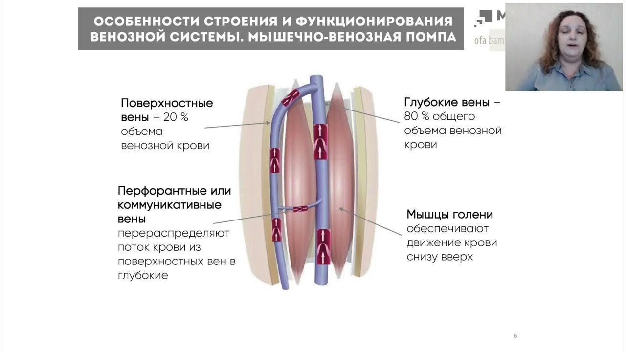 венозная помпа
