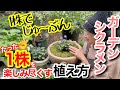 【耐寒性をもつシクラメン】1株でいいので、お気に入りのガーデンシクラメンを買ってください😊/ たった1株を楽しみ尽くせる植え方☝️季節ごとに様々な花姿を楽しめて寒さ対策まで出来ちゃう😆【ガーデニング】