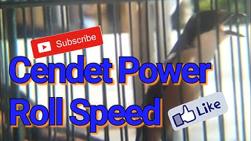 Cendet Roll Speed Power
