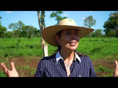 Pecuária pantaneira com olhar conservacionista | MT Sustentável ep.1 | Canal Rural