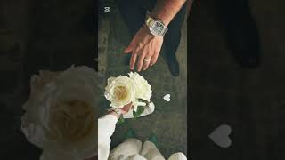 عرس الغوالي   ملحم زين     كراميلا   ناصيف زيتون   بيا يا بيا ريمكس سمعها