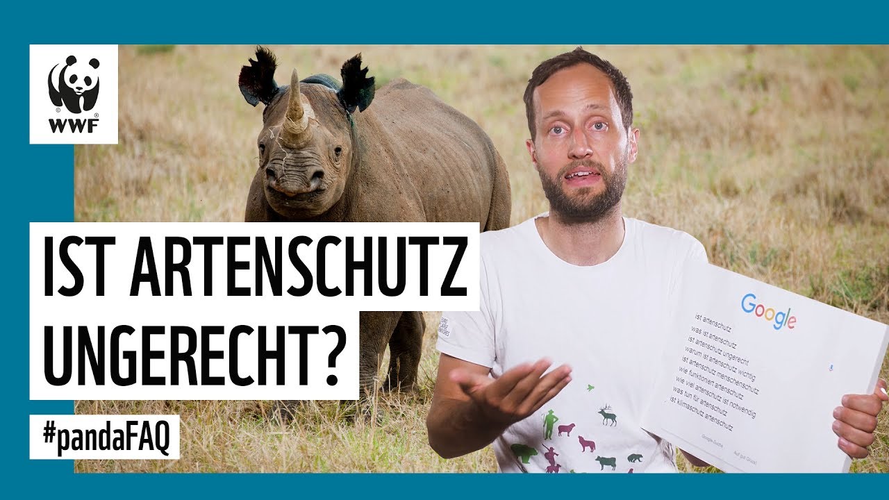 Die letzten Tiere ihrer Art retten: So funktioniert Artenschutz | WWF Deutschland - YouTube