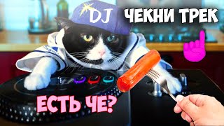 Песня про Кошку 🐱