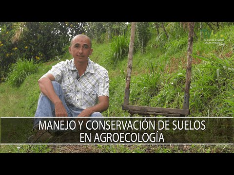 Video: ¿Cuándo es importante la conservación del suelo?